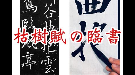 枯樹賦 全文|行書の教材にしたいので「枯樹賦」の全文の現代語訳を探してい。